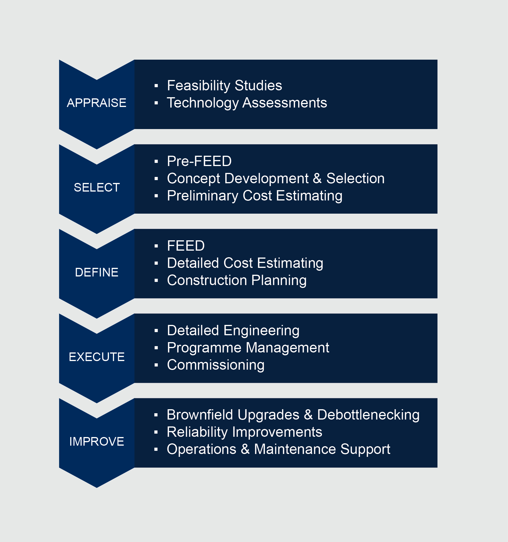 Appraise Select Define Execute Improve Project Lifecycle