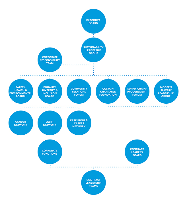 Costain sustainability organisation chart